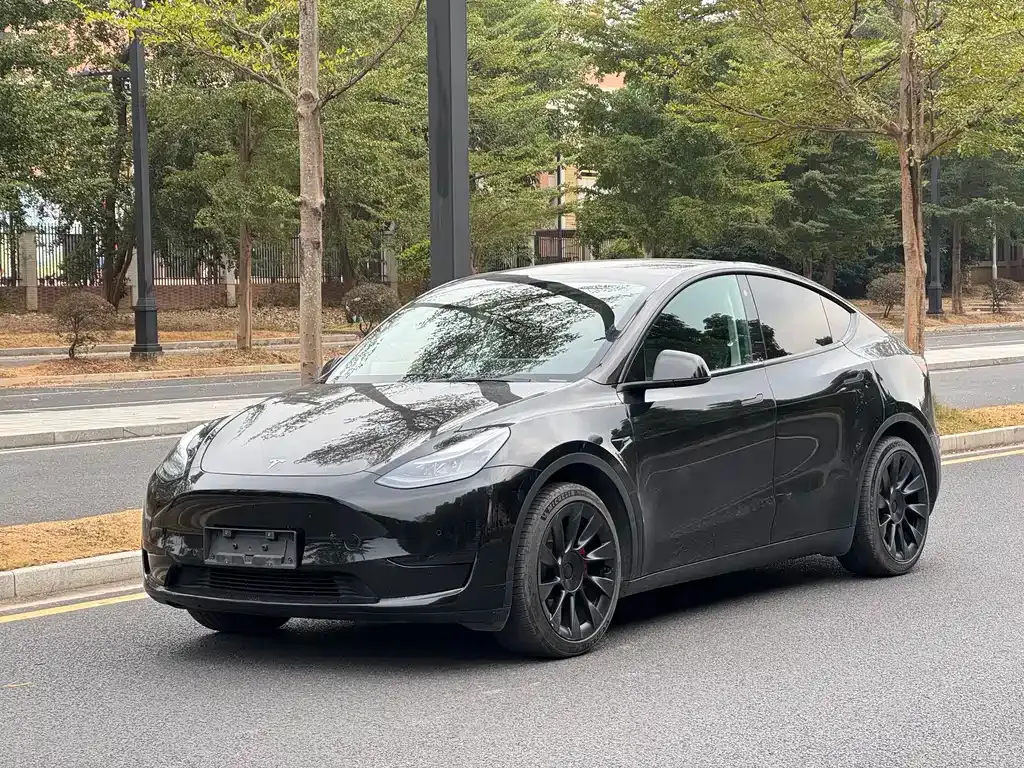 Tesla Model Y — фото 2