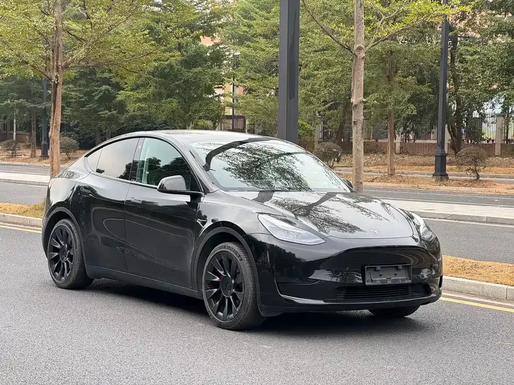 Tesla Model Y — фото 3