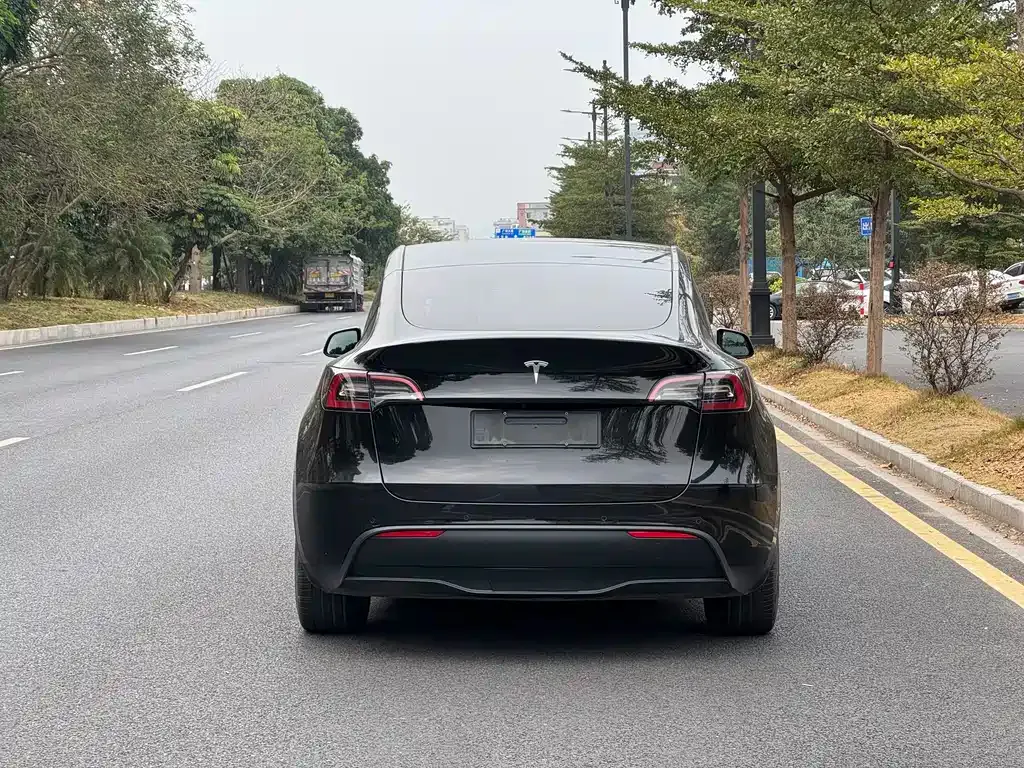 Tesla Model Y — фото 7