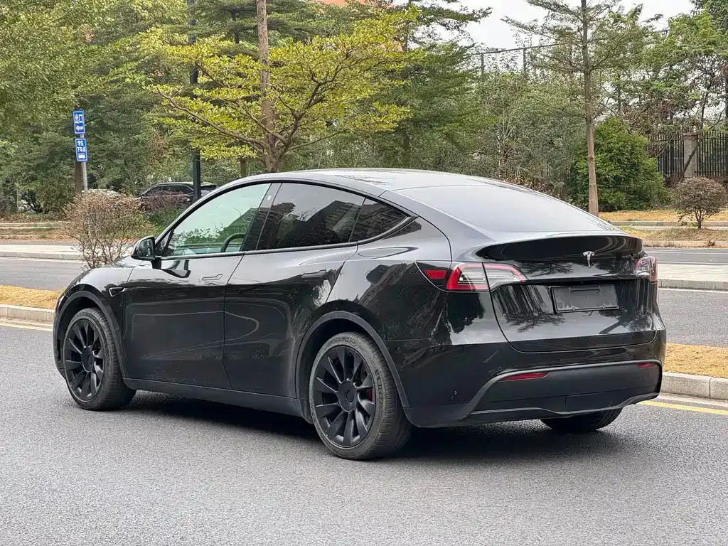 Tesla Model Y — фото 8