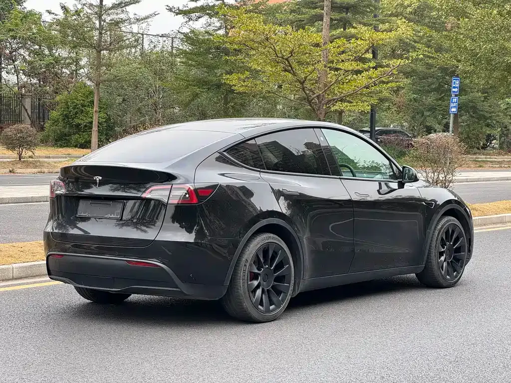 Tesla Model Y — фото 9