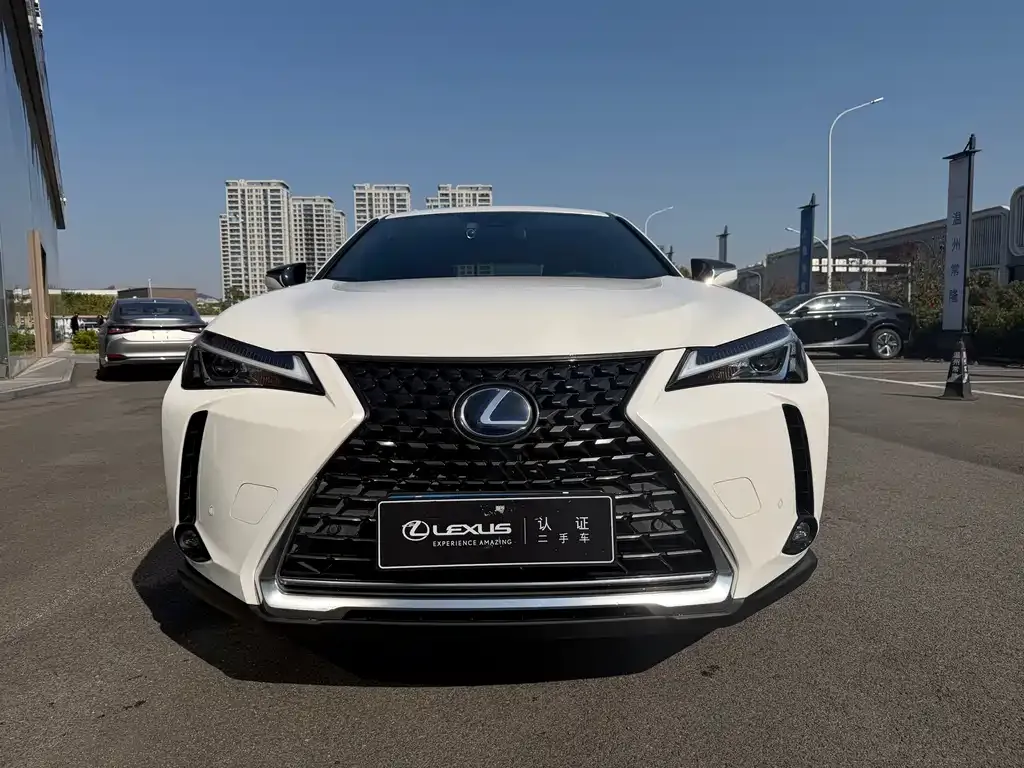 Lexus UX — фото 8