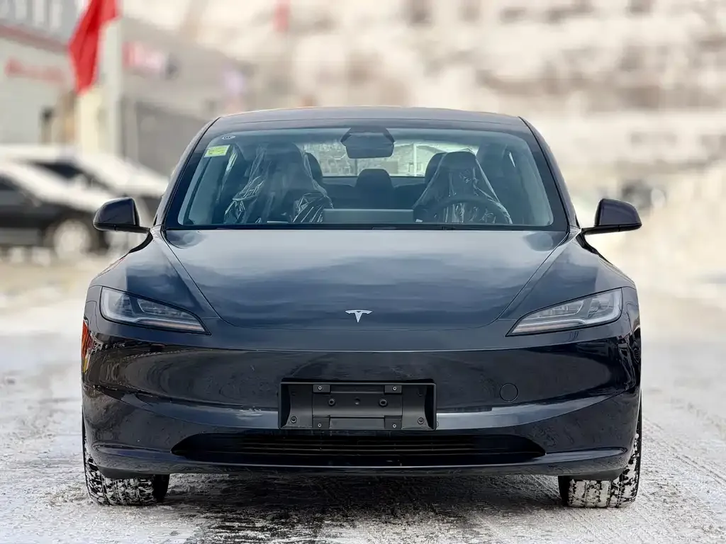 Tesla Model 3 2025 из CN, фото 5