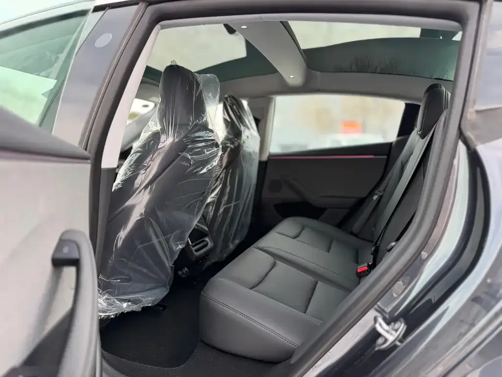 Tesla Model 3 2025 из CN, фото 9