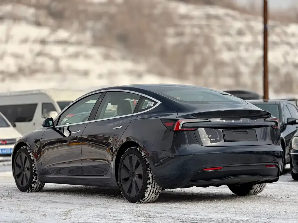 Tesla Model 3 2025 из CN, фото 4