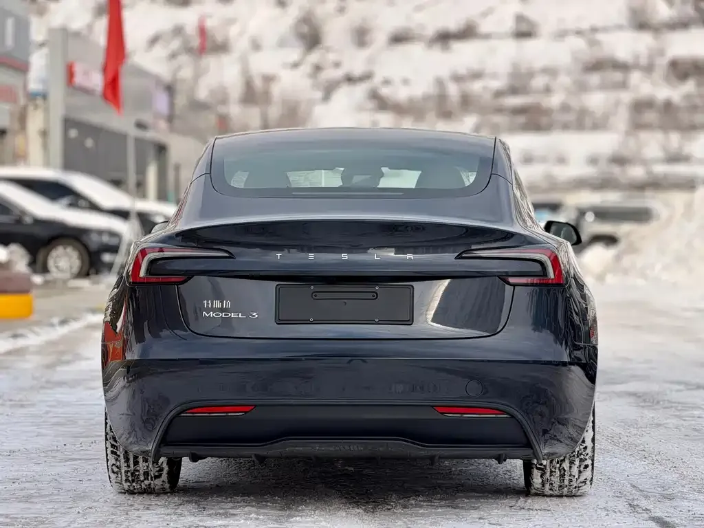 Tesla Model 3 2025 из CN, фото 3
