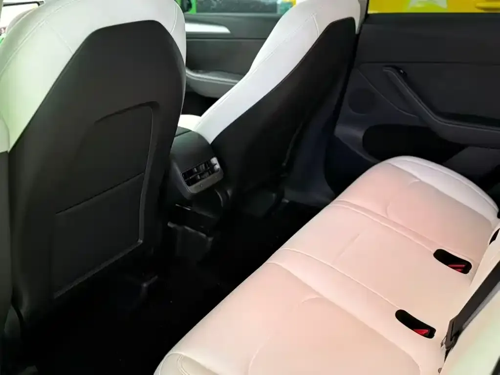 Tesla Model Y 2022 из CN, фото 6