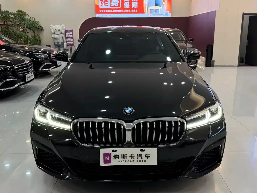 BMW 5 Series 2022 из CN, фото 10