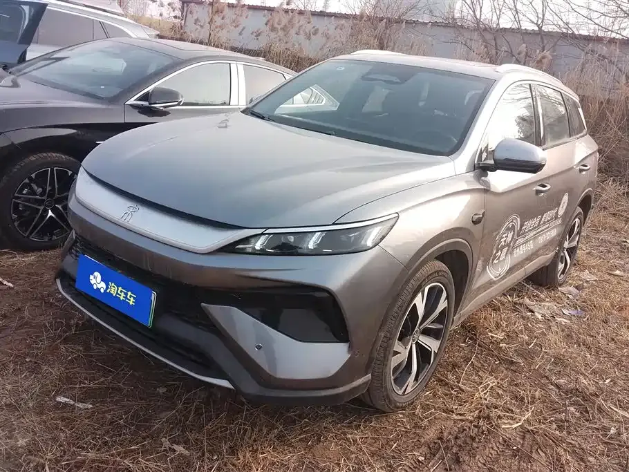 BYD Pro New Energy 2025 из CN, фото 1
