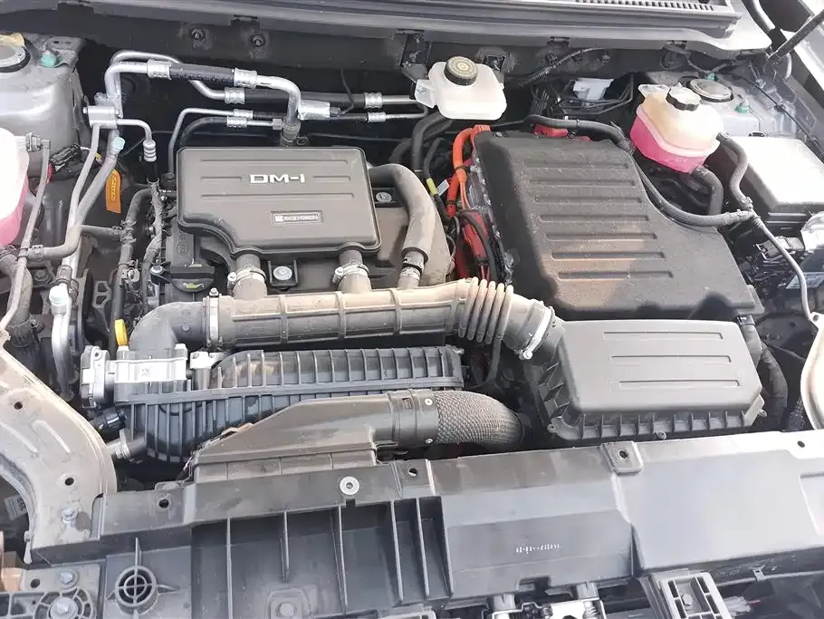 BYD Pro New Energy 2025 из CN, фото 9