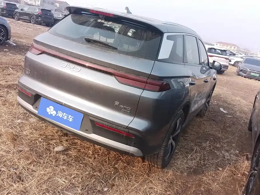 BYD Pro New Energy 2025 из CN, фото 4