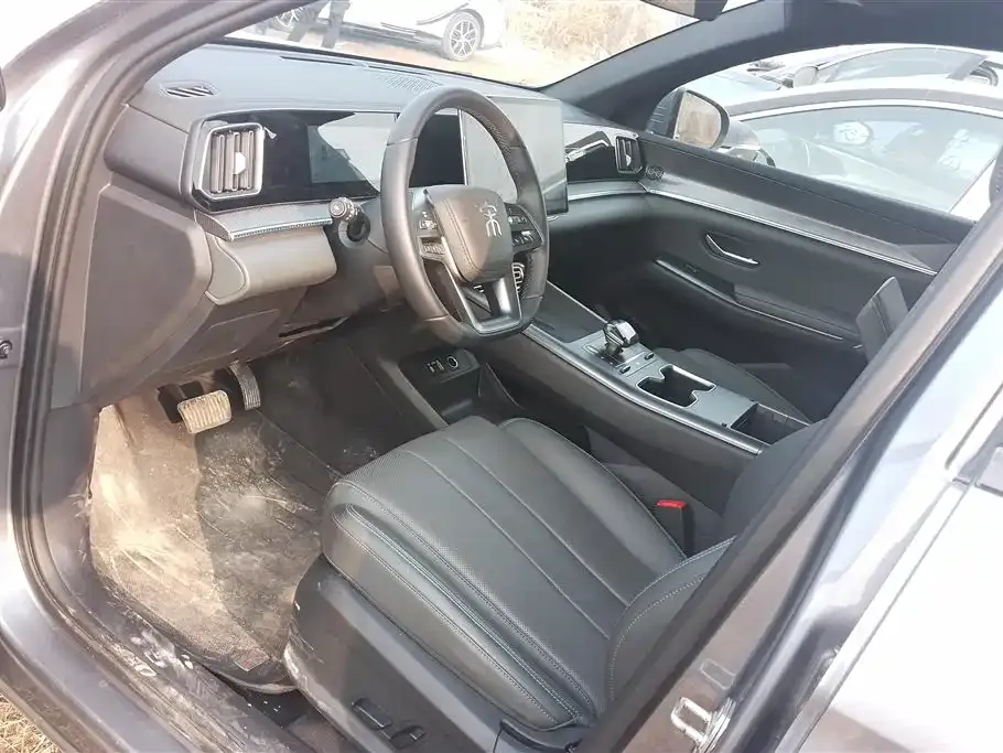 BYD Pro New Energy 2025 из CN, фото 8