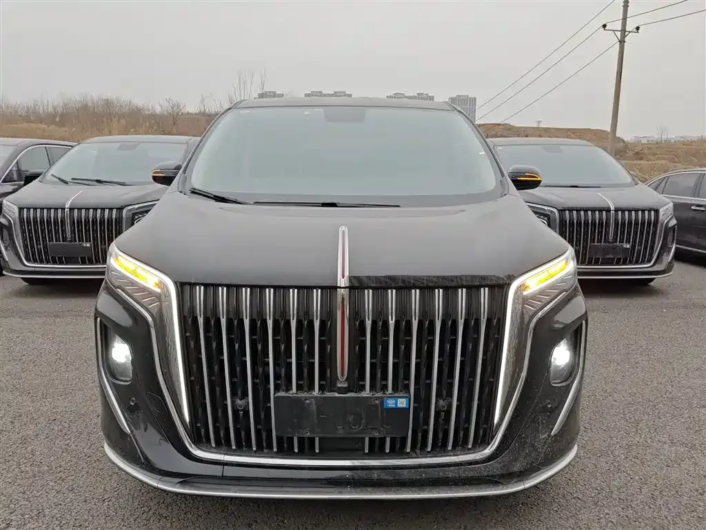 Hongqi HQ9 PHEV 2024 из CN, фото 6