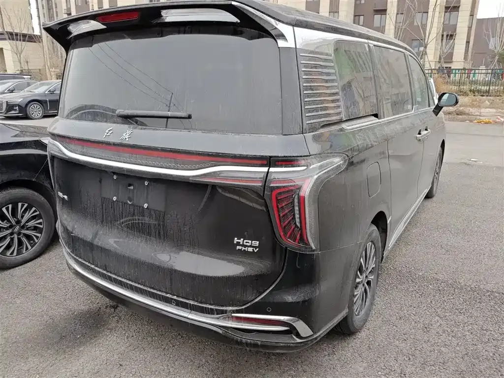Hongqi HQ9 PHEV 2024 из CN, фото 10