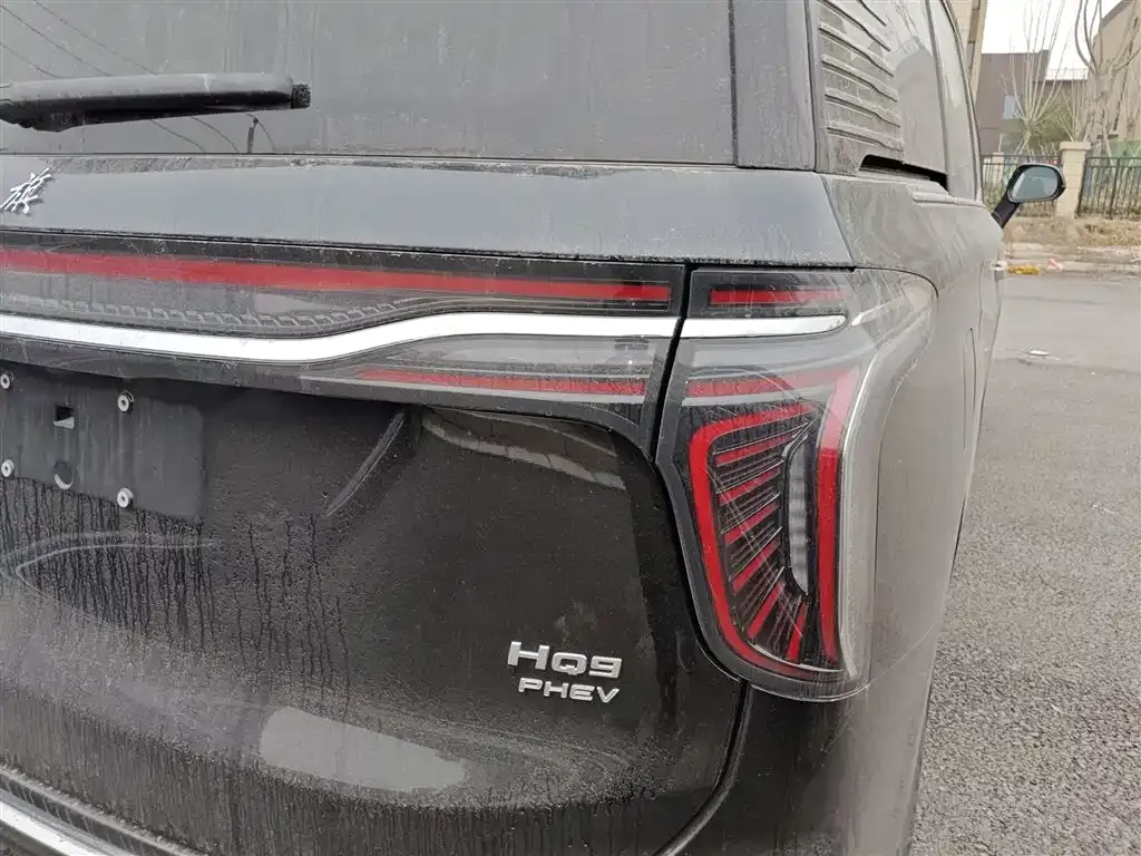 Hongqi HQ9 PHEV 2024 из CN, фото 4
