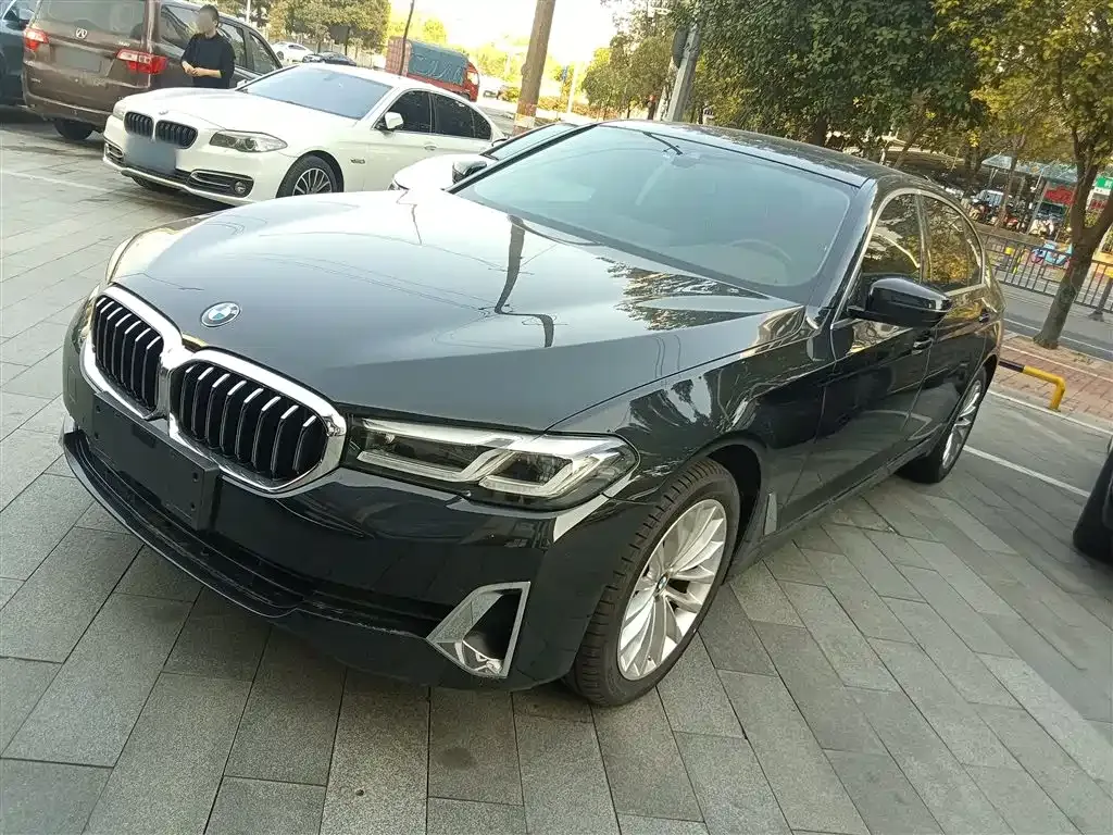 BMW 5 Series 2021 из CN, фото 6