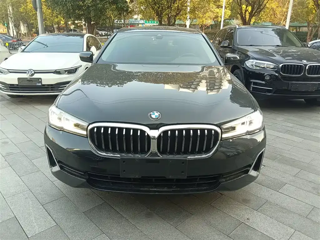 BMW 5 Series 2021 из CN, фото 9