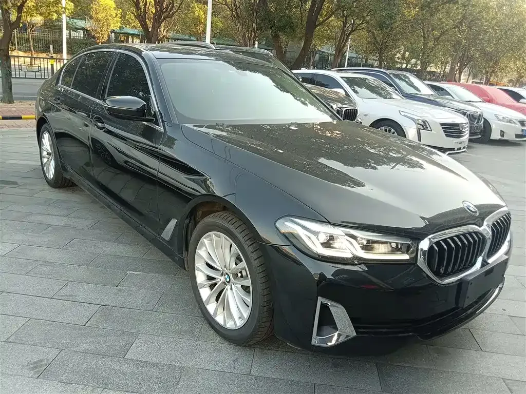 BMW 5 Series 2021 из CN, фото 10