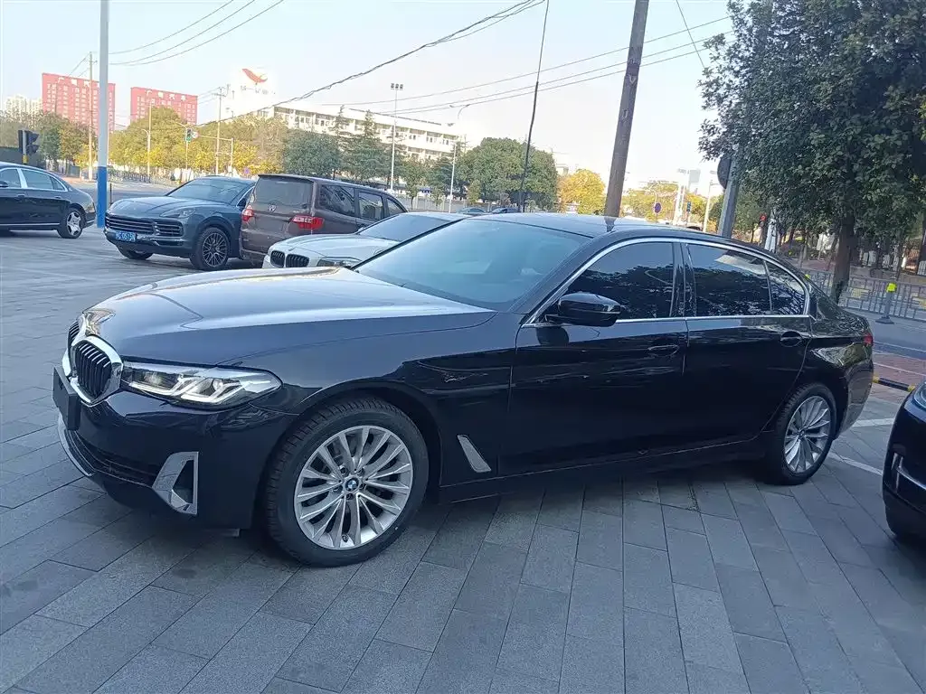 BMW 5 Series 2021 из CN, фото 4