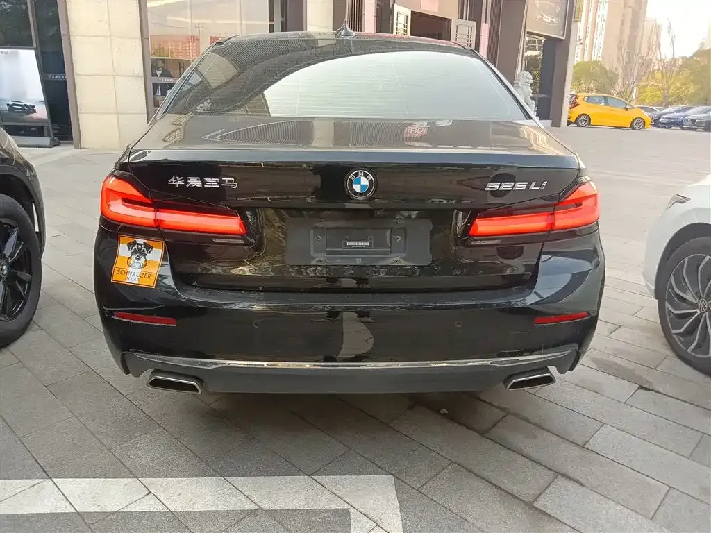 BMW 5 Series 2021 из CN, фото 8