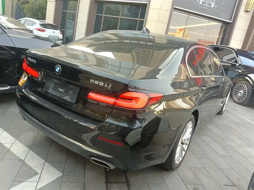 BMW 5 Series 2021 из CN, фото 5