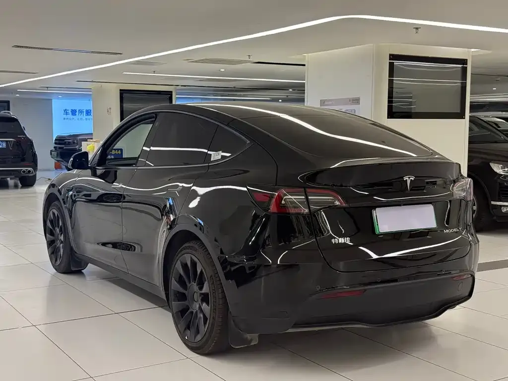 Tesla Model Y — фото 8