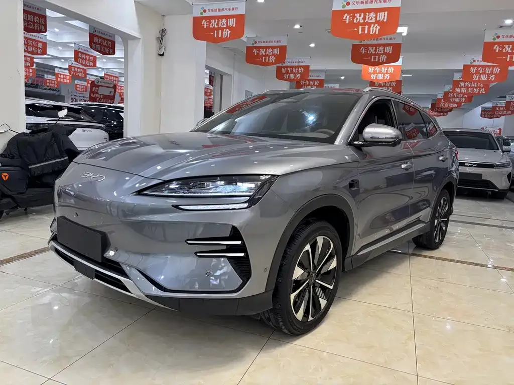 BYD PLUS New Energy 2025 из CN, фото 1