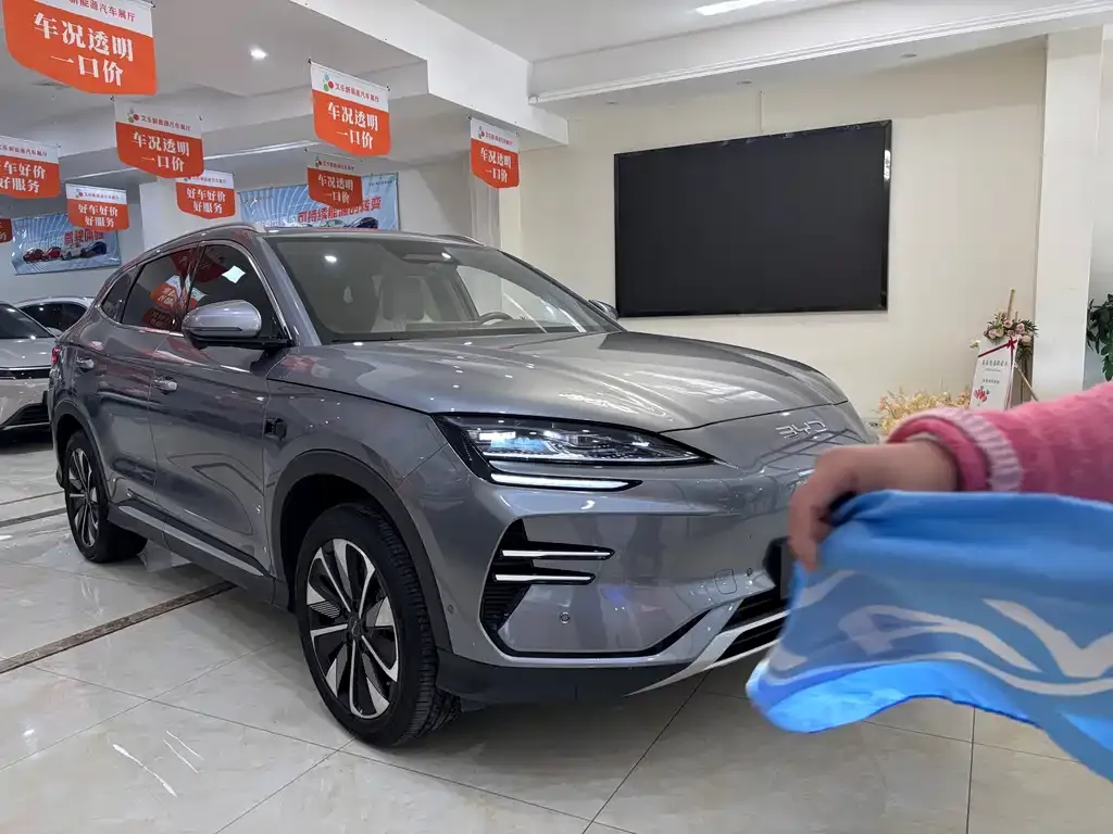 BYD PLUS New Energy 2025 из CN, фото 6