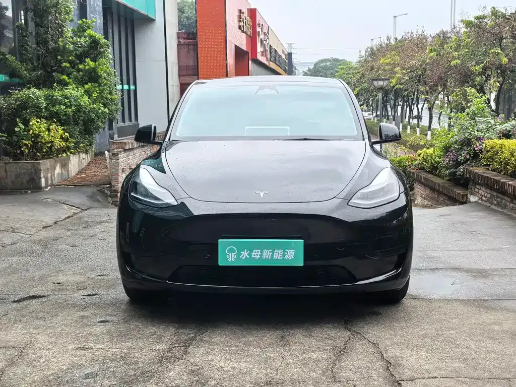 Tesla Model Y 2024 из CN, фото 8