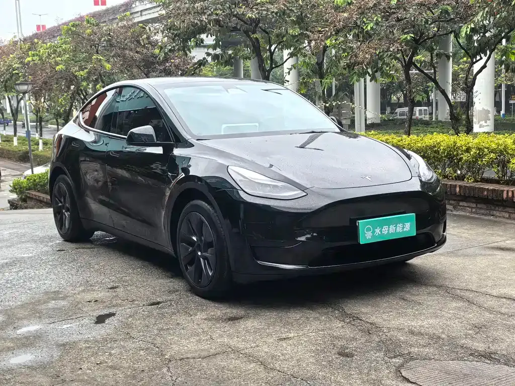 Tesla Model Y 2024 из CN, фото 5