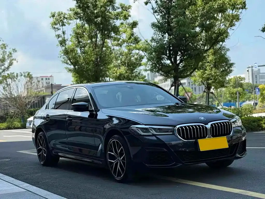 BMW 5 Series 2023 из CN, фото 10