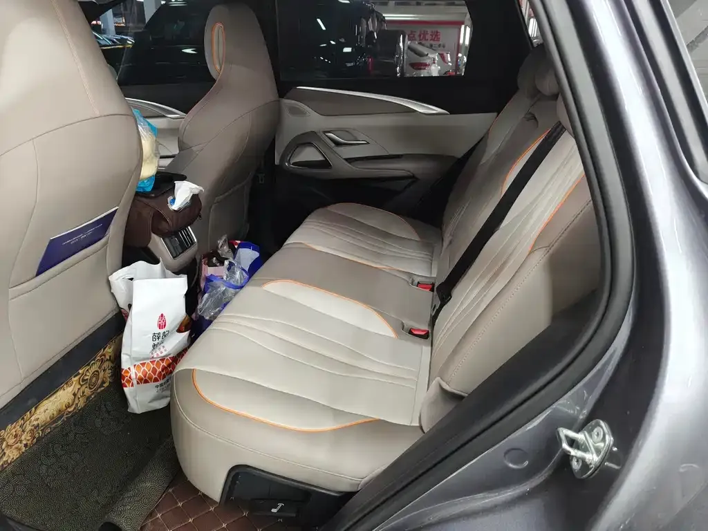 BYD Pro New Energy — фото 4