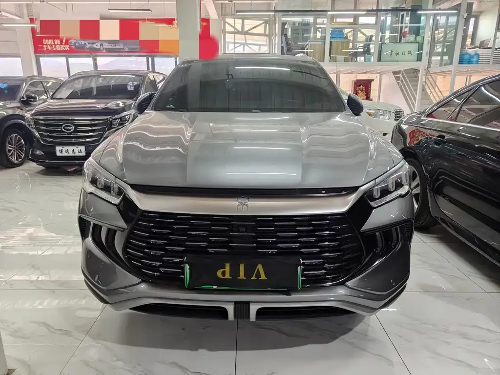 BYD Pro New Energy — фото 10