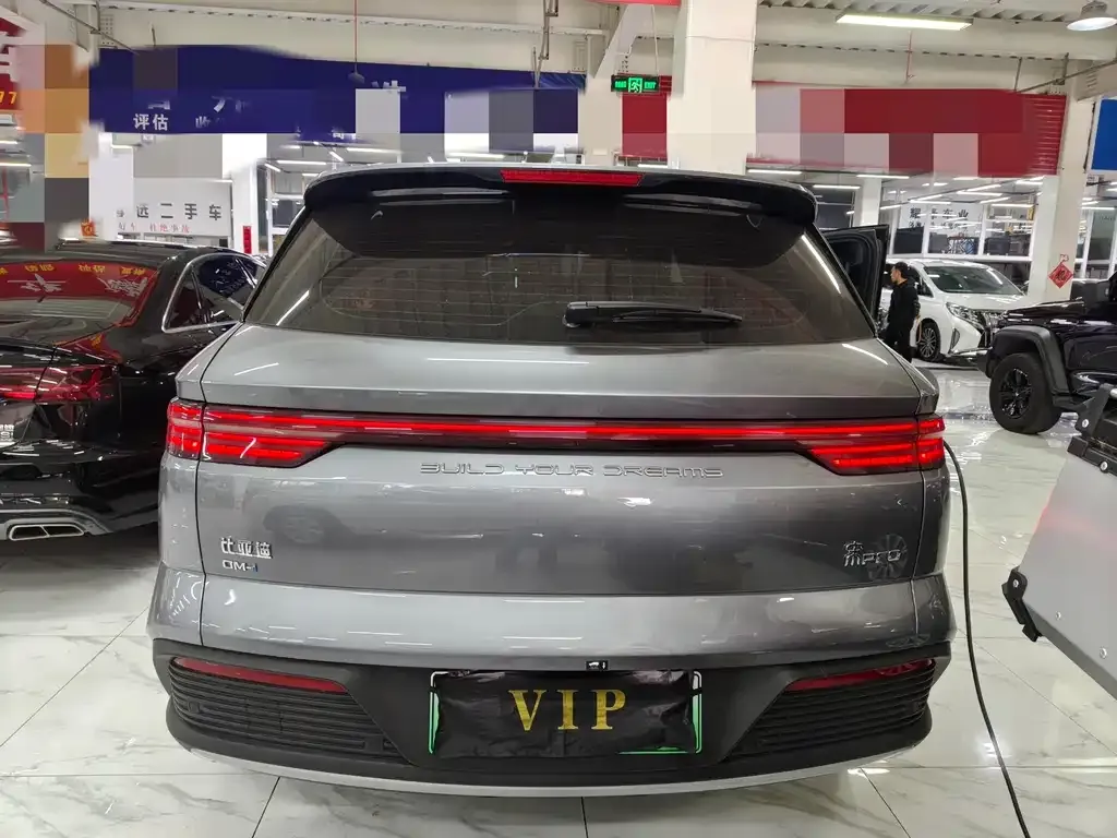 BYD Pro New Energy — фото 3
