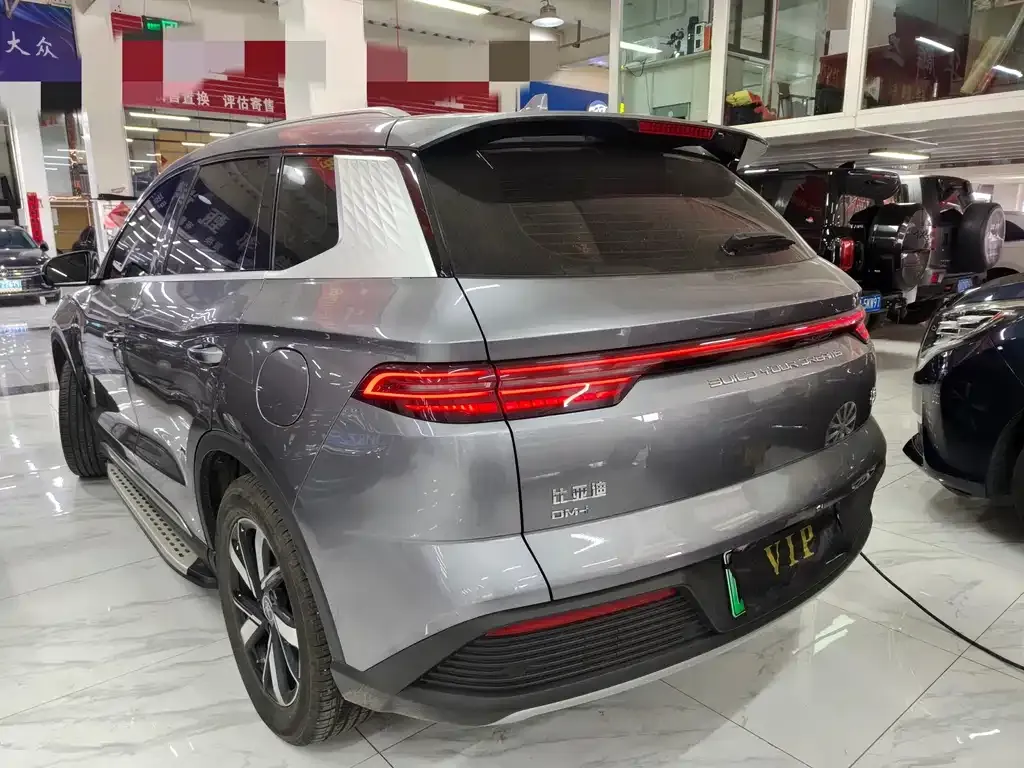 BYD Pro New Energy — фото 6