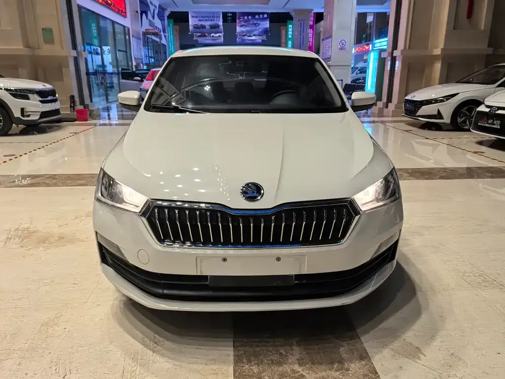 Skoda Rapid 2022 из CN, фото 6