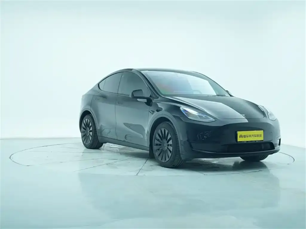 Tesla Model Y 2023 из CN, фото 6