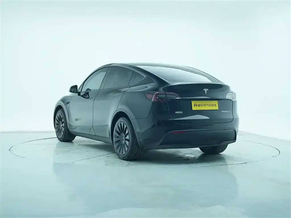 Tesla Model Y 2023 из CN, фото 2