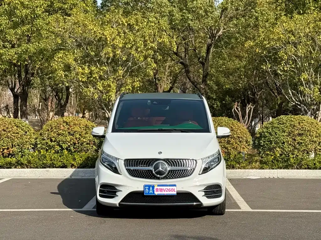Mercedes-Benz V-Class 2021 из CN, фото 1