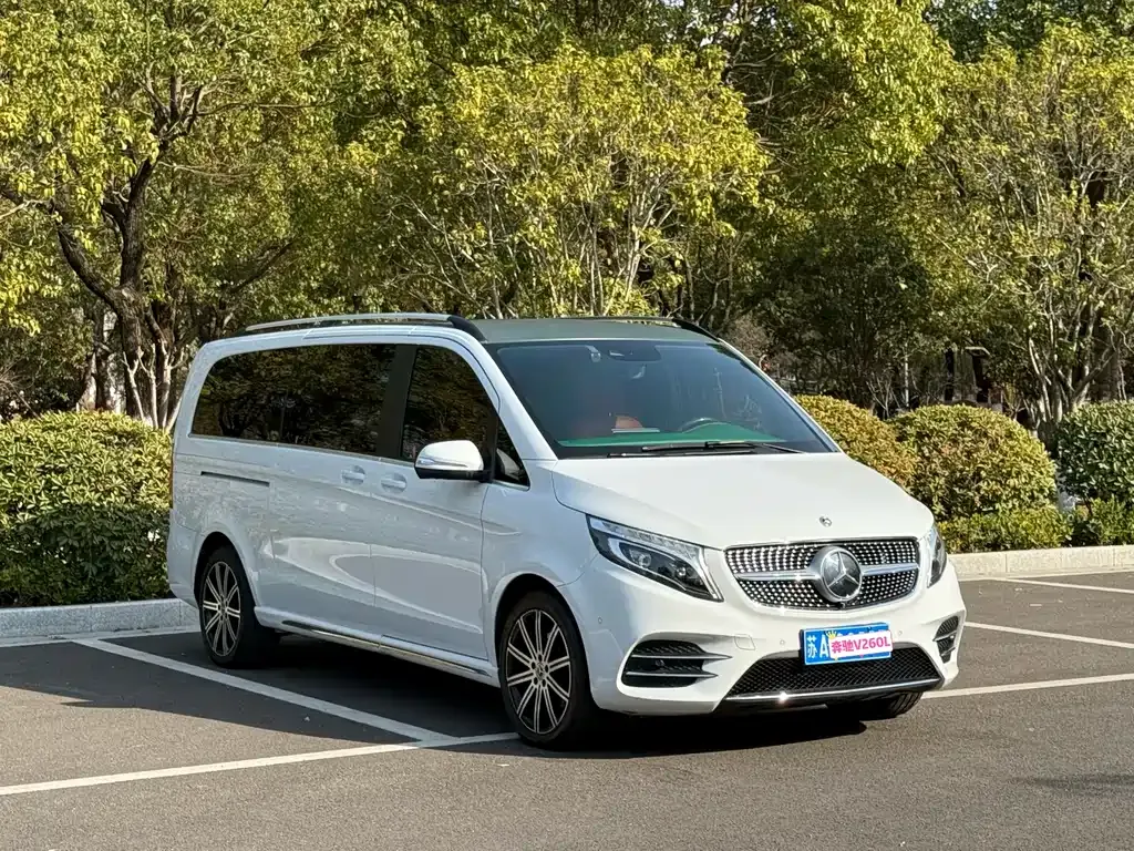 Mercedes-Benz V-Class 2021 из CN, фото 5