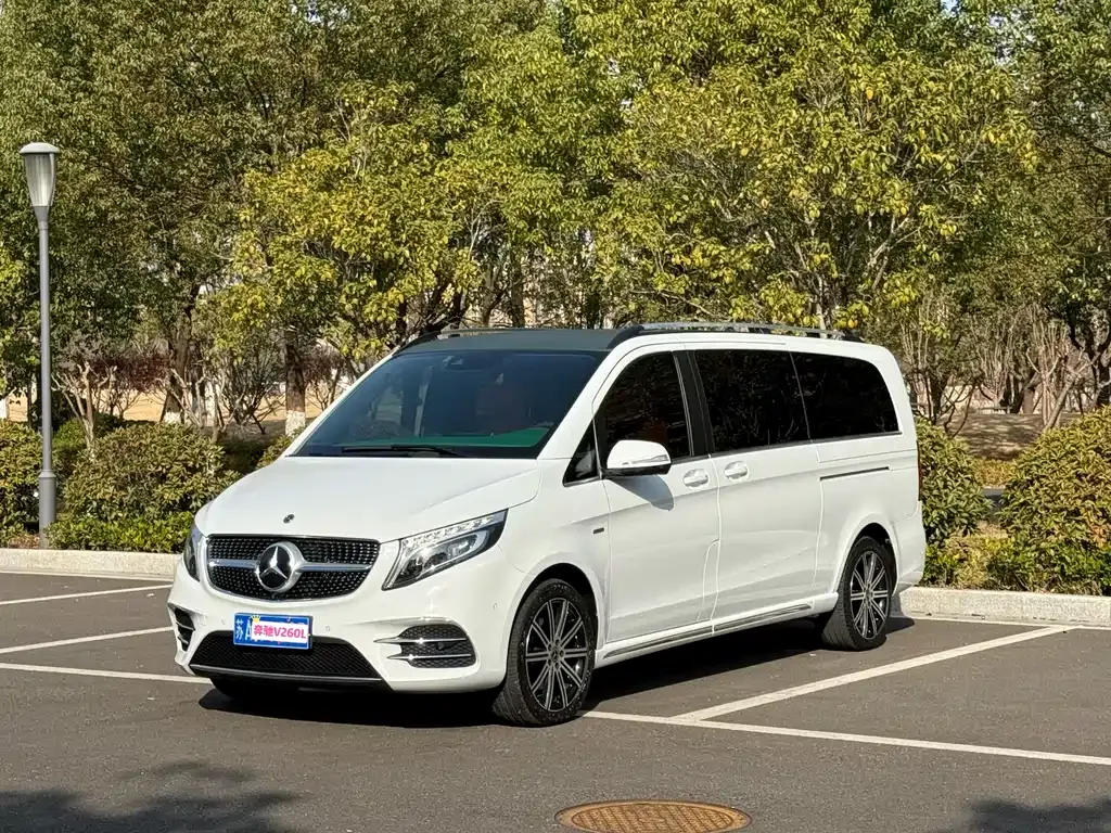 Mercedes-Benz V-Class 2021 из CN, фото 10