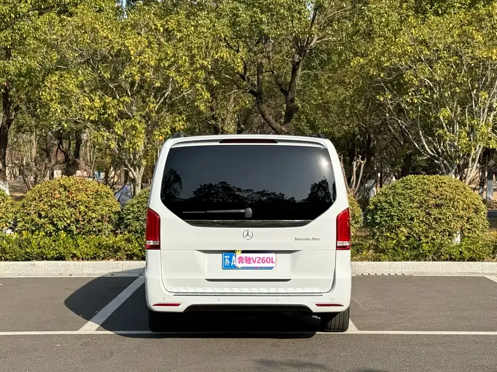 Mercedes-Benz V-Class 2021 из CN, фото 8