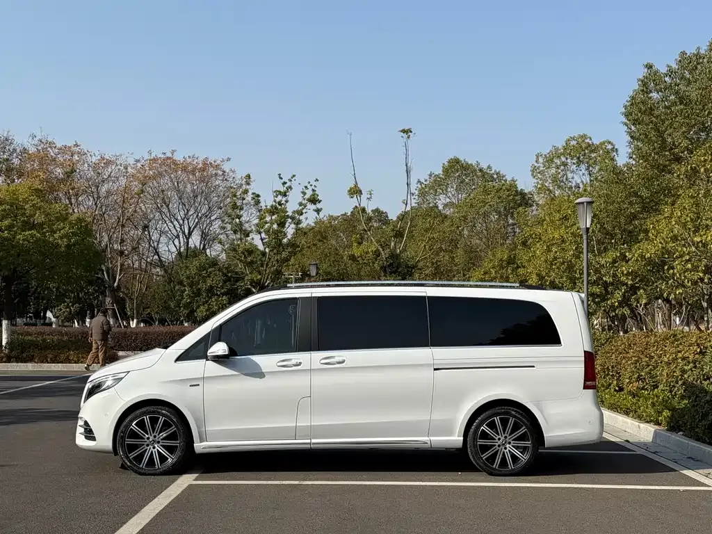 Mercedes-Benz V-Class 2021 из CN, фото 6