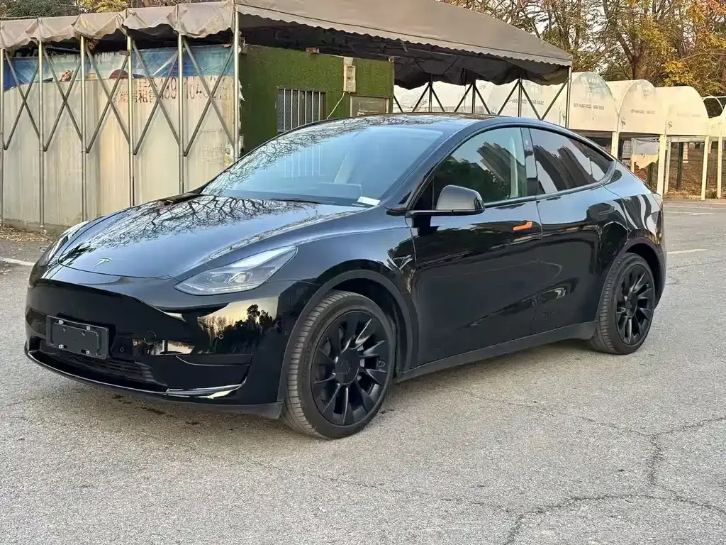 Tesla Model Y 2022 из CN, фото 1