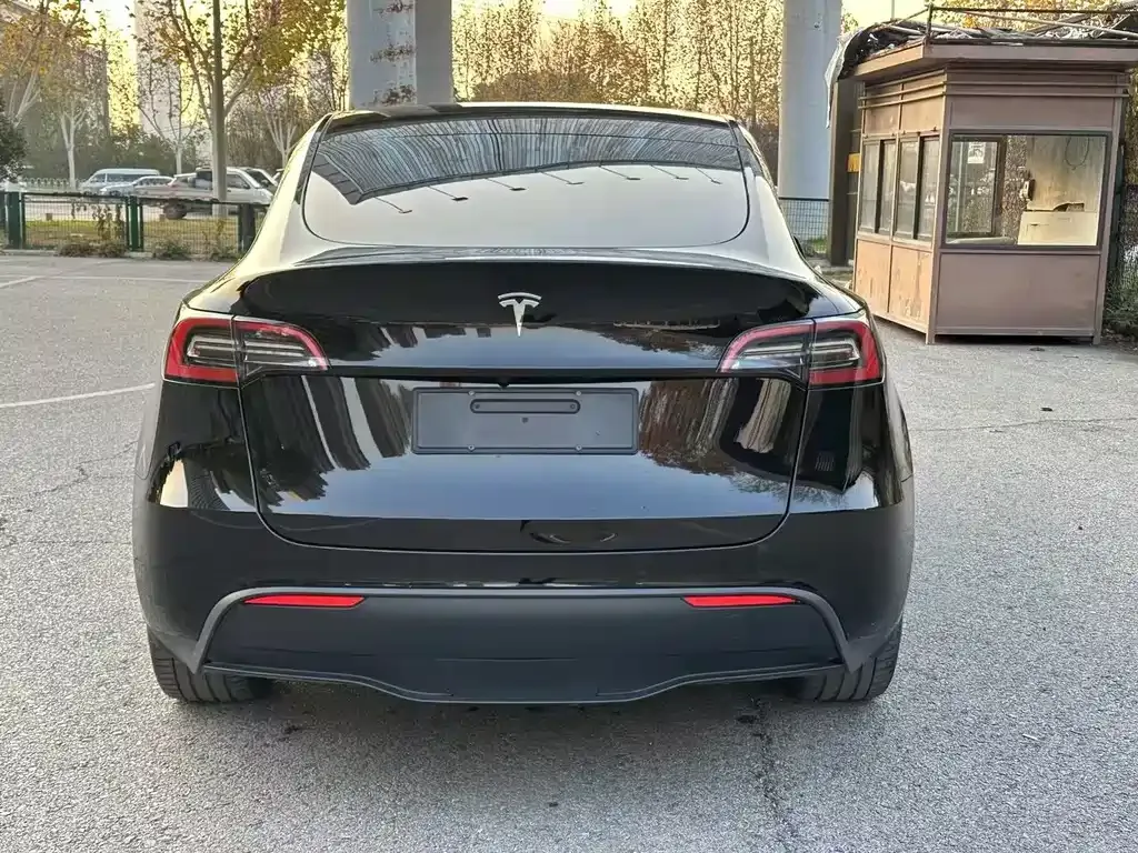 Tesla Model Y 2022 из CN, фото 9