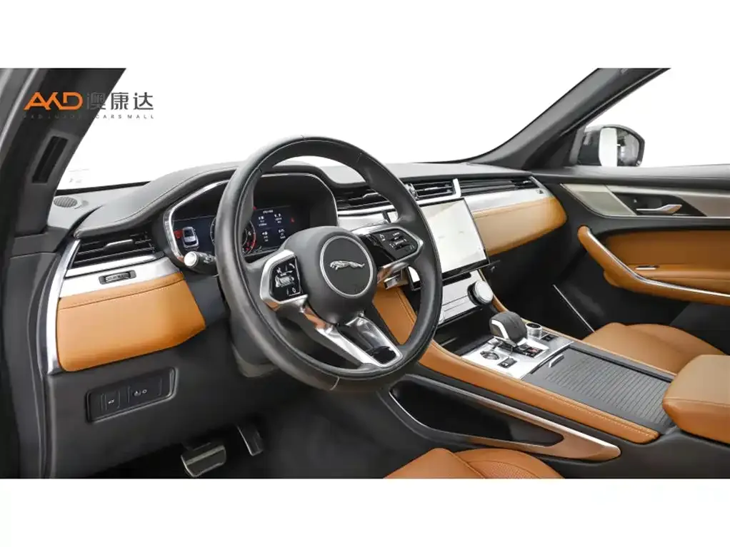 Jaguar F-PACE 2024 из CN, фото 8