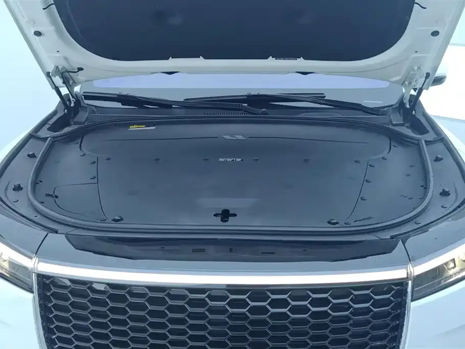 Li Auto ONE 2021 из CN, фото 6