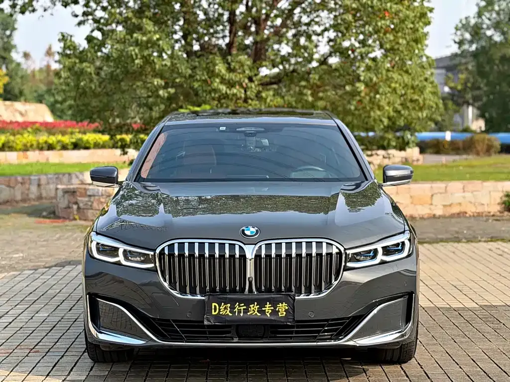 BMW 7 Series 2021 из CN, фото 9