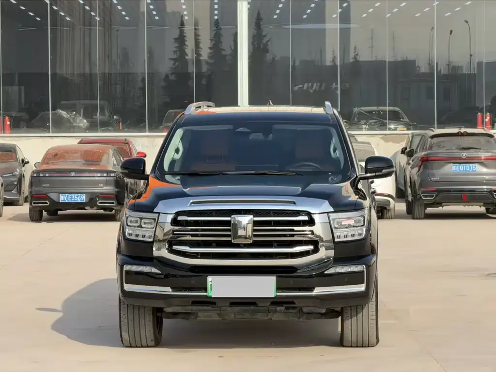 Tank 500 New Energy 2024 из CN, фото 5
