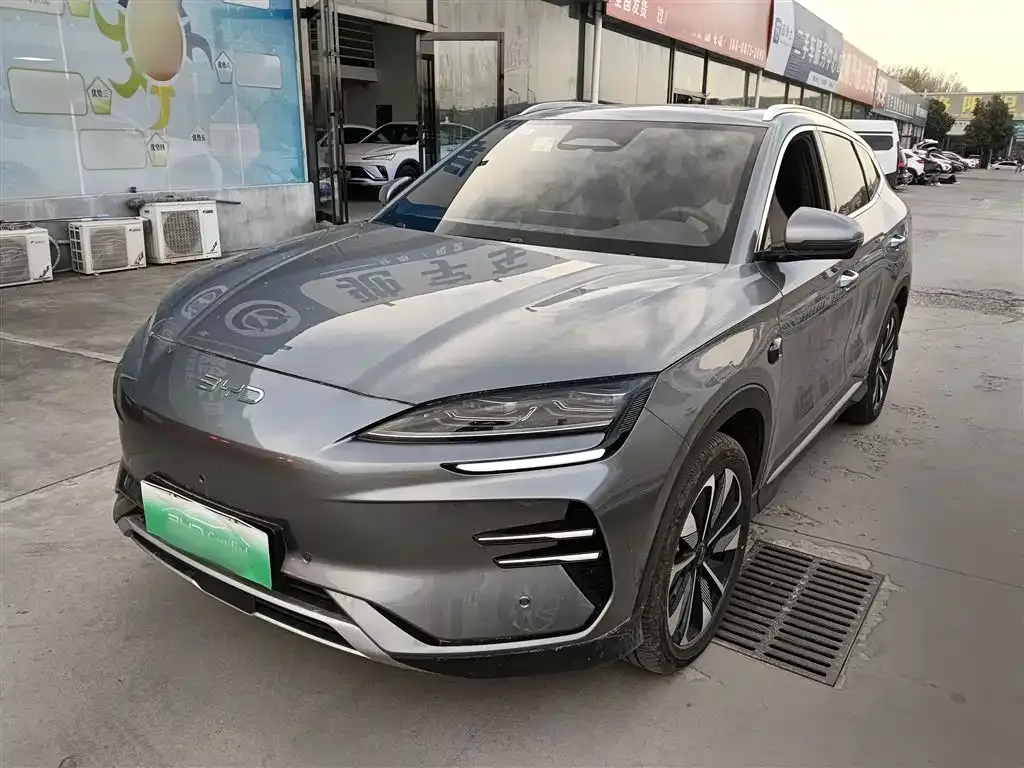 BYD PLUS New Energy — фото 2